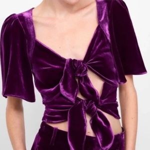 Zara Plum Velvet Silk Tie Front Crop Top Sz S/M